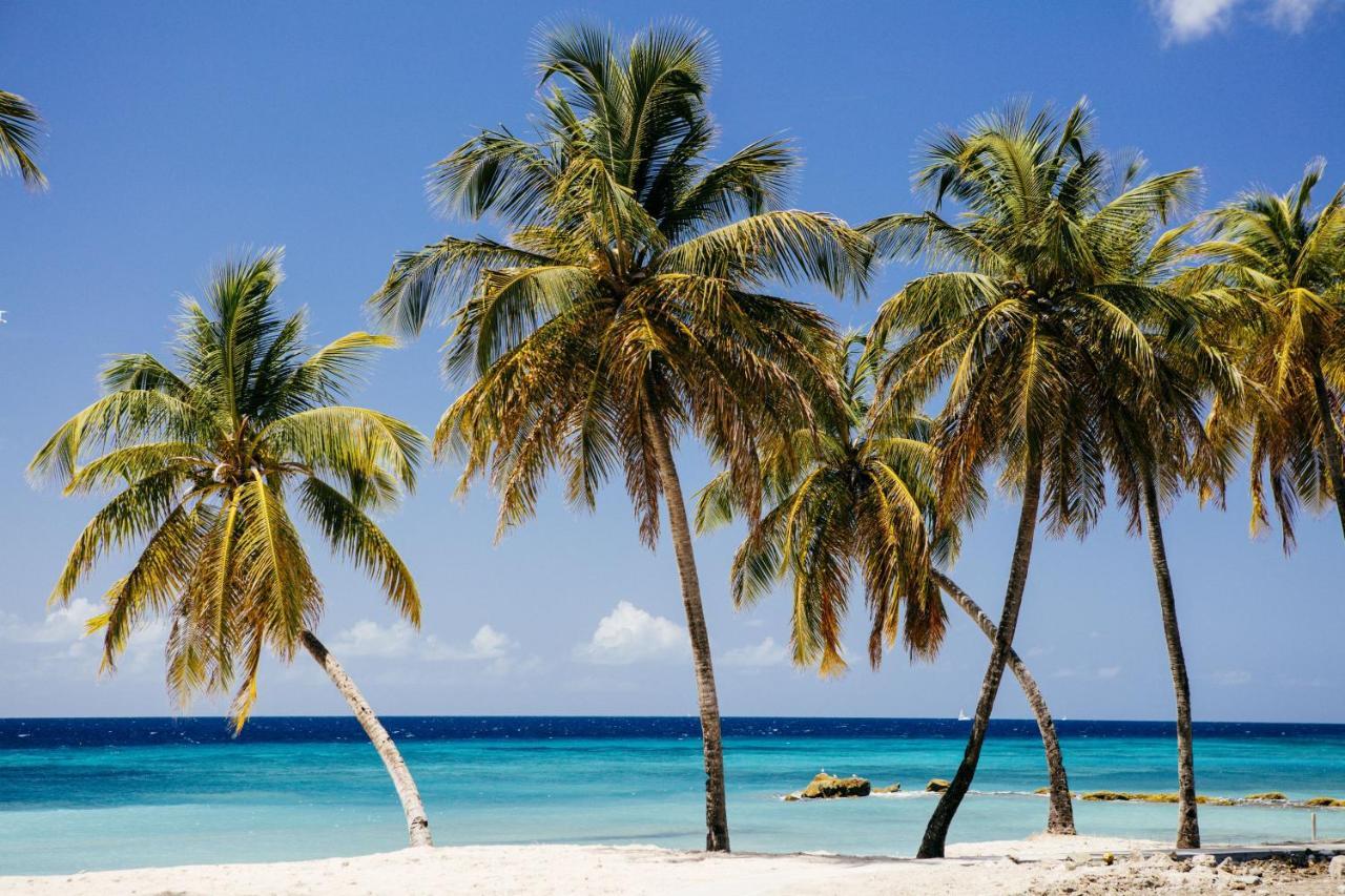 Отель The Liming Bequia Френдшип Экстерьер фото